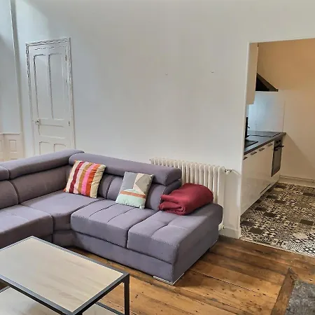 Wonderhost, Superbes Volumes Et Charme De L'ancien Apartment Pau